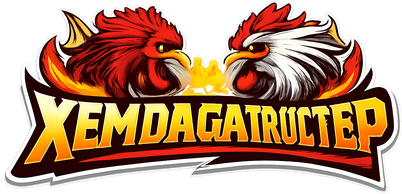 xemdagatructiep